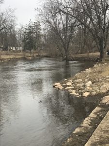 Red River in Okemos