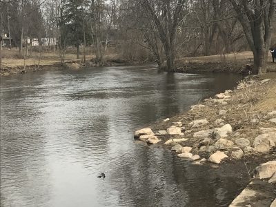 Red River in Okemos